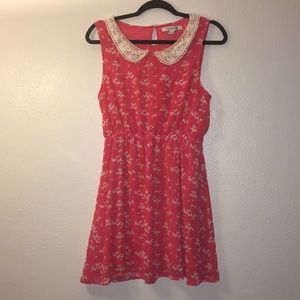 F21 Lace Peter Pan Butterfly cute Dress